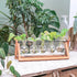 Glass Planter Bulb Vase with Retro Solid Wooden Stand and Metal Swivel Holder for Hydroponics Plants
